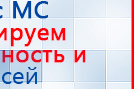 Наколенник-электрод купить в Хабаровске, Электроды Меркурий купить в Хабаровске, Скэнар официальный сайт - denasvertebra.ru